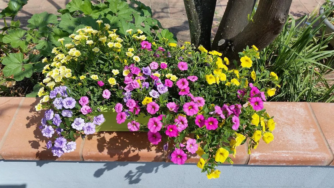 Holiday home La Civetta Sul Como' Villa La Spezia Italy